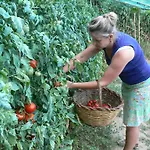 Agriturismo La Filomena Vakantieboerderij Montefortino