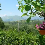 Vakantieboerderij Agriturismo La Filomena