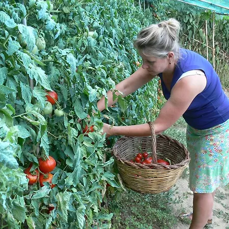 Agriturismo La Filomena Agroturismo Montefortino