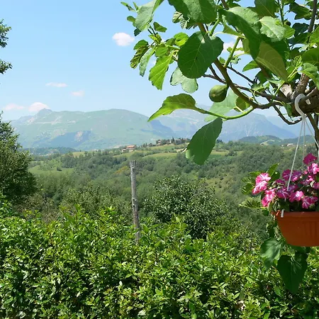 팜스테이 Agriturismo La Filomena